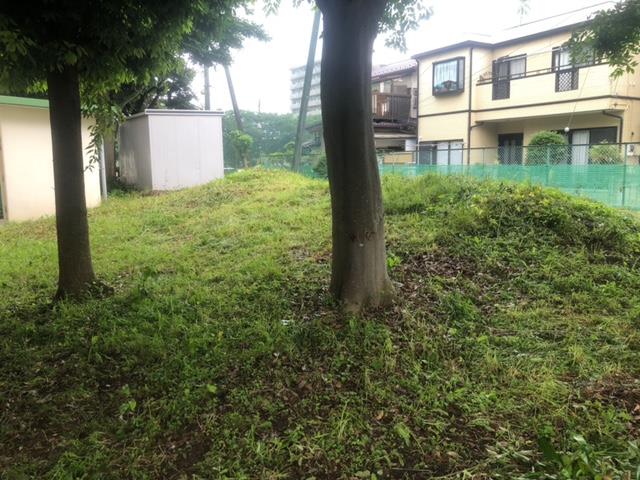 樹木園