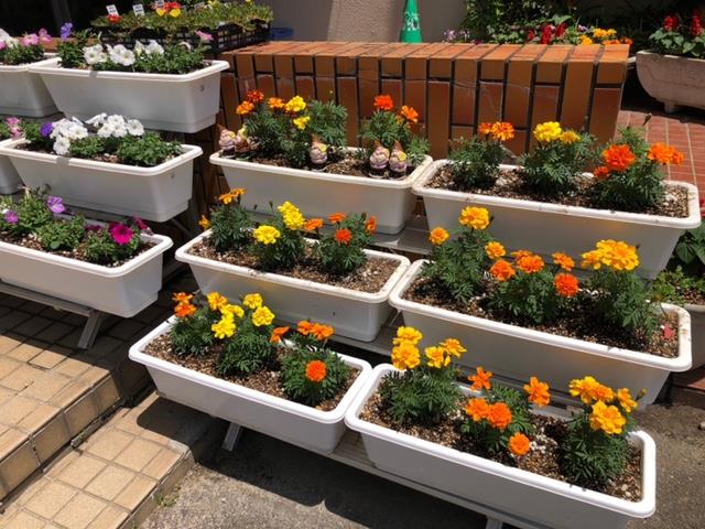 昇降口前のプランター