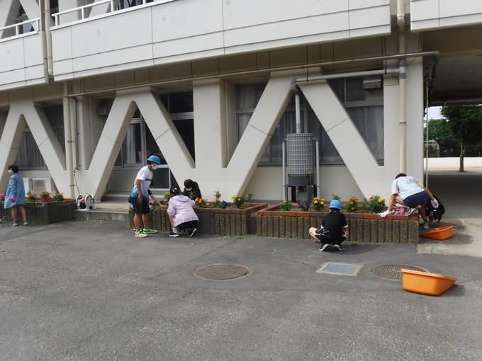 栽培委員会