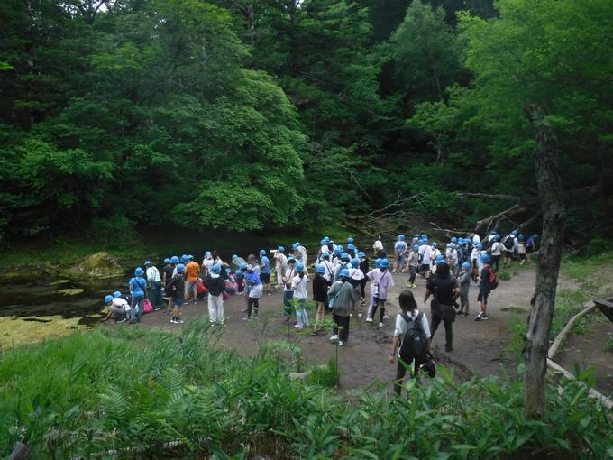 戦場ヶ原ハイキング