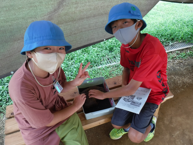 小動物とのふれあい