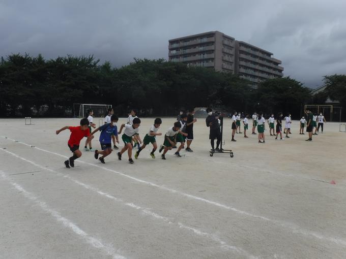 800m