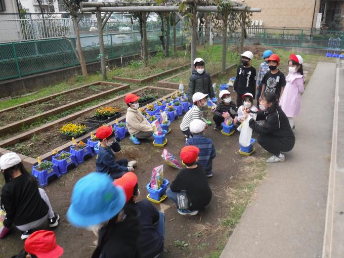 人権の花運動