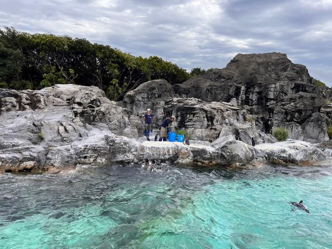 葛西臨海水族園で