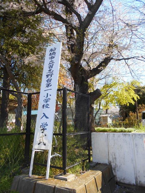 入学式1