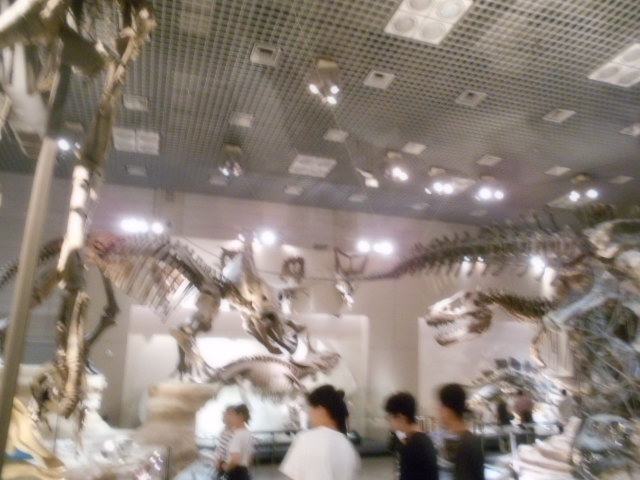国立科学博物館