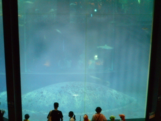 葛西臨海水族園3