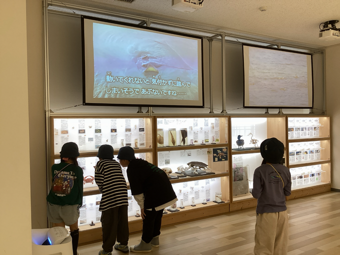 環境学習館