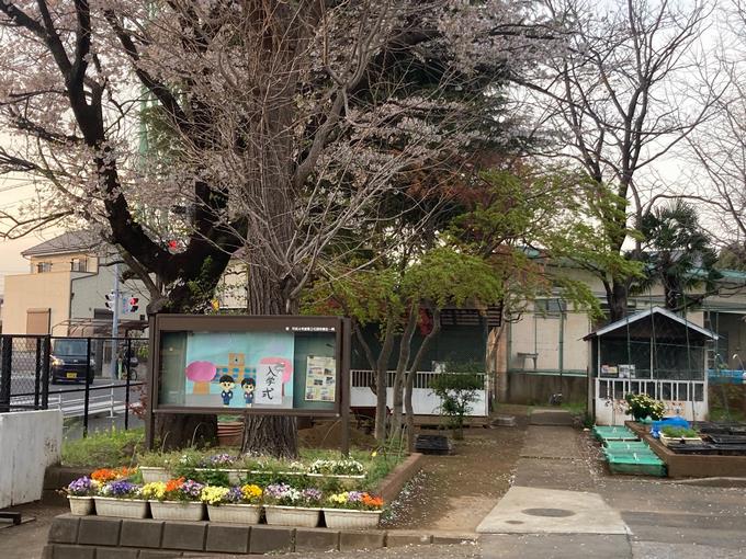 掲示板