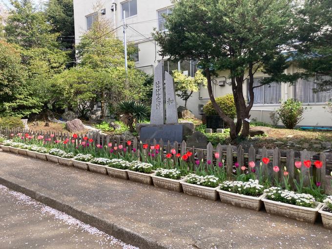 風に揺れる花々