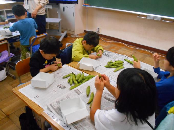そら豆のさや剥き2