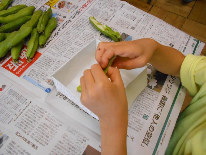 そら豆のさや剥き3