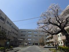 04077