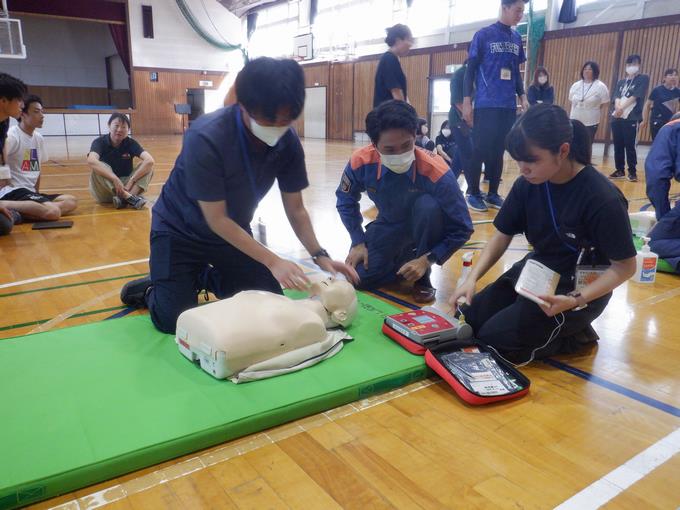手順等を確認しながら行っています