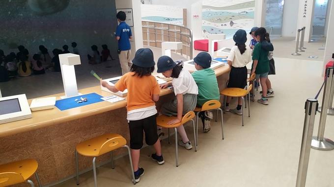 顕微鏡で観察しています