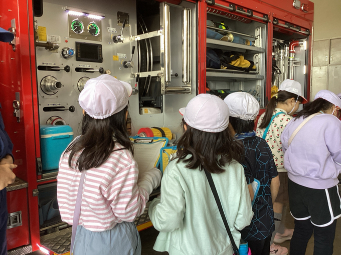 じっくりと見ていました