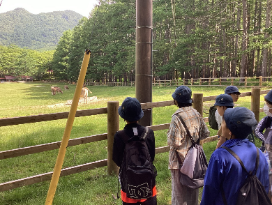 戦場ヶ原で感じる雄大な自然