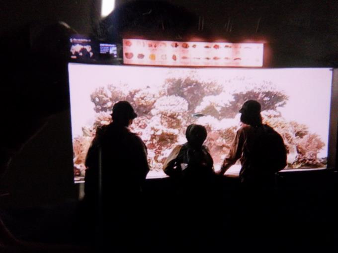 水族園での中での様子