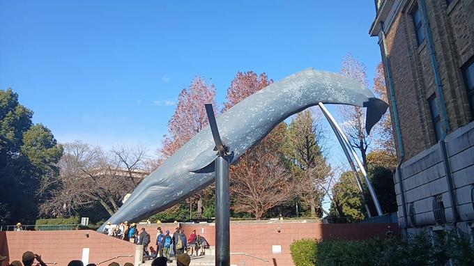 科学博物館の出口