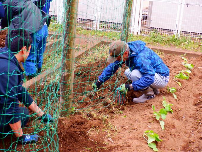 ヘチマネットの補修