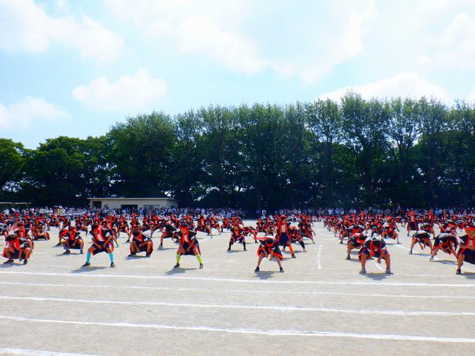 中学年