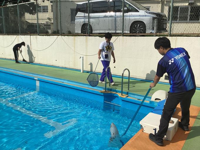 水面の落ち葉取り