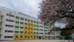 校舎桜