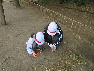 何を見つけたの？