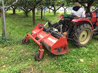 草苅を実演していただきました