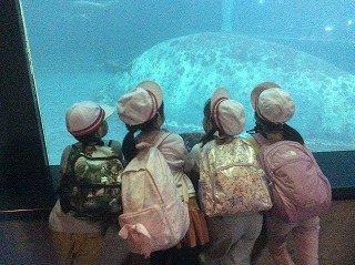 大きな魚　何だろう･･･