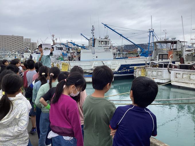 漁港について学習中・・・