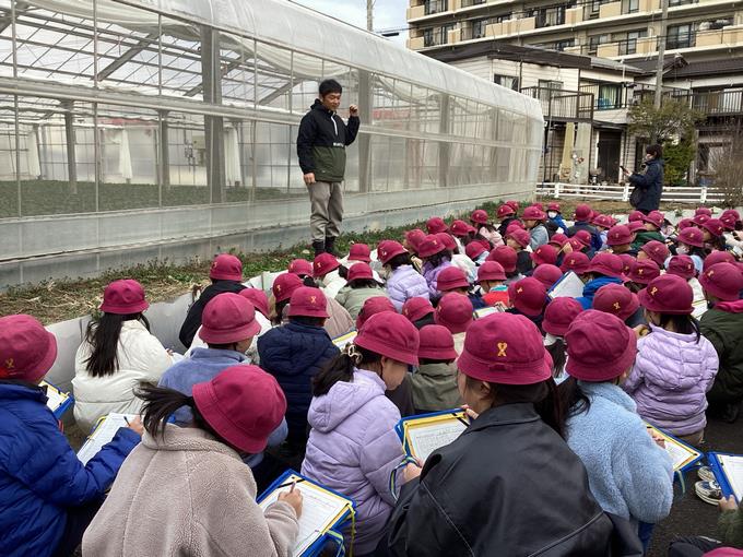 大きな小松菜畑