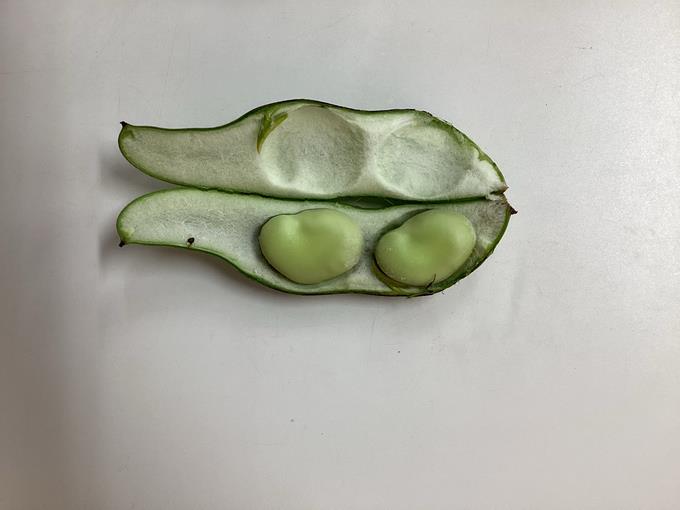 そらまめくんのベッド