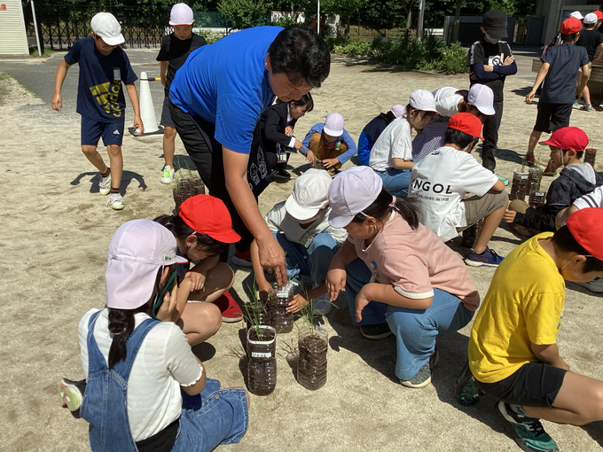 田植え体験の様子