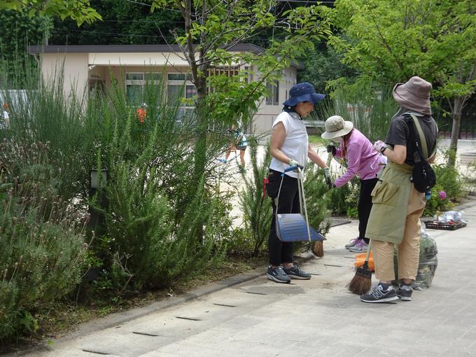 きれいになる花壇