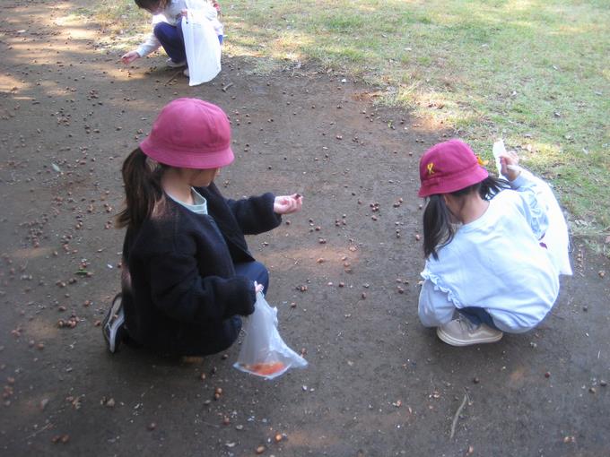 どんぐり見つけた！