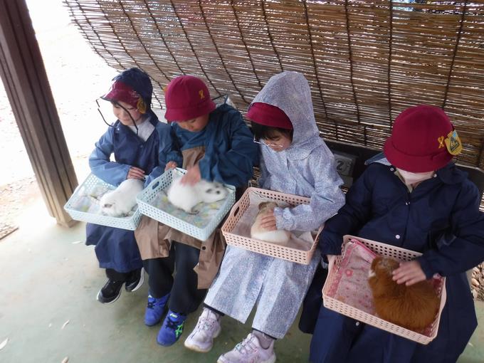 ふわふわでかわいいね