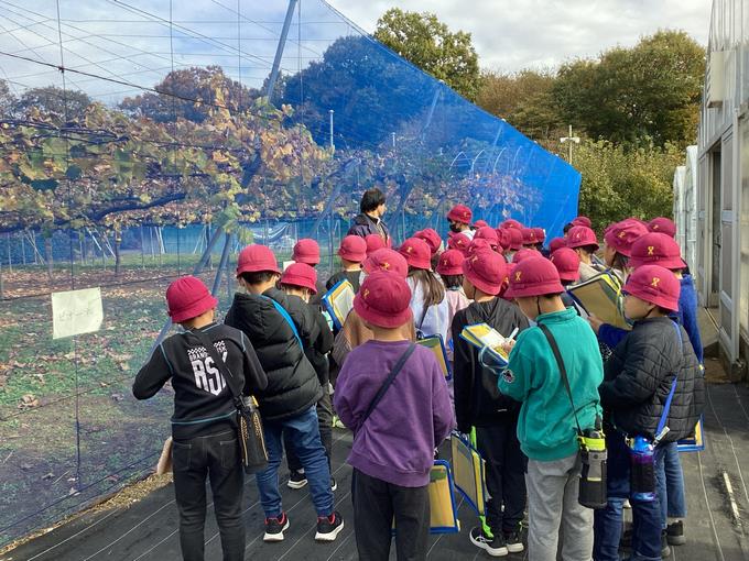 どのように育てているのかな？