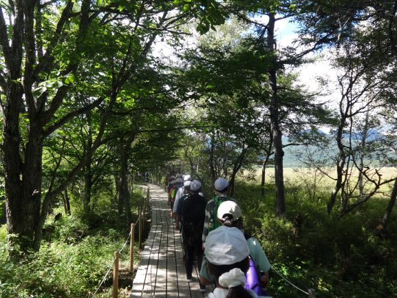 最高の天気です