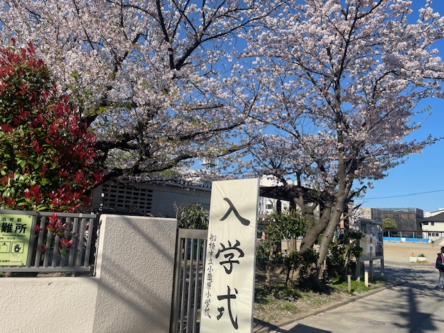 青空と桜が美しい日です