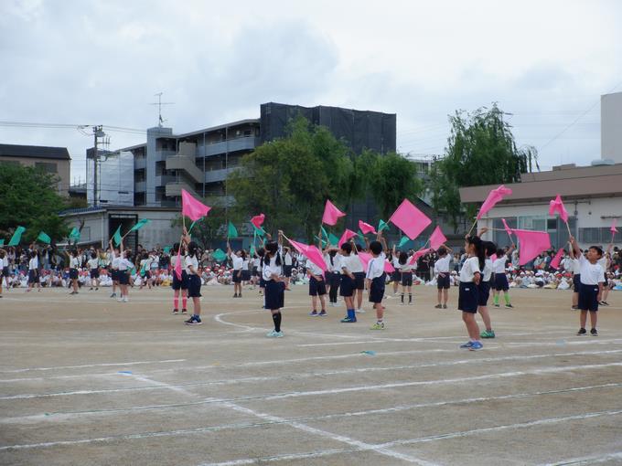 4年生