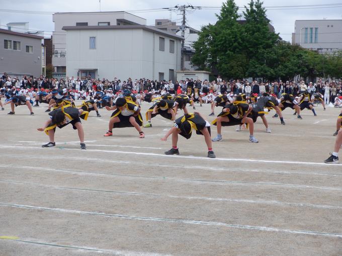 5年生