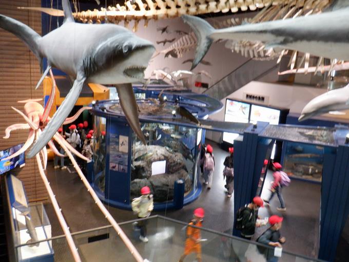 面白い展示がたくさん