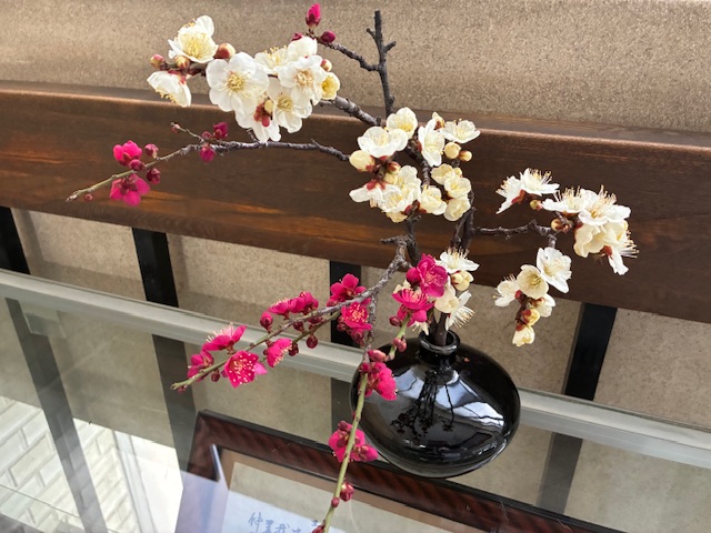 用務員さんが生けてくれました