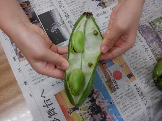 白いベッドの上にそらまめが