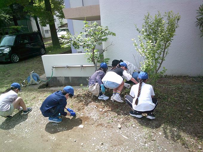隅々まで