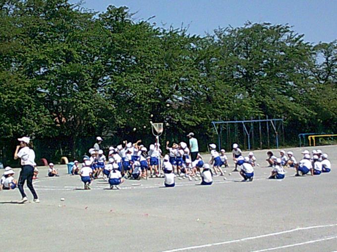 白組