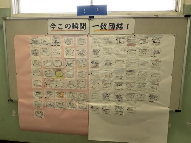 5年生