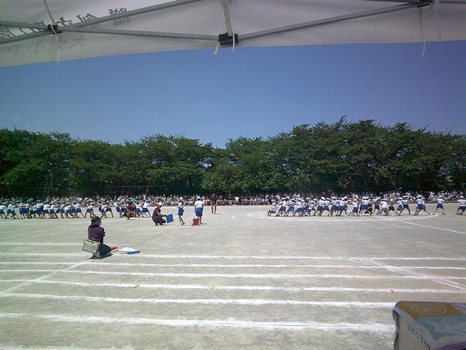 中学年 綱引き