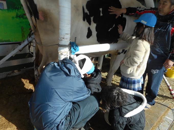 お乳を絞ったり体に触れたりしました